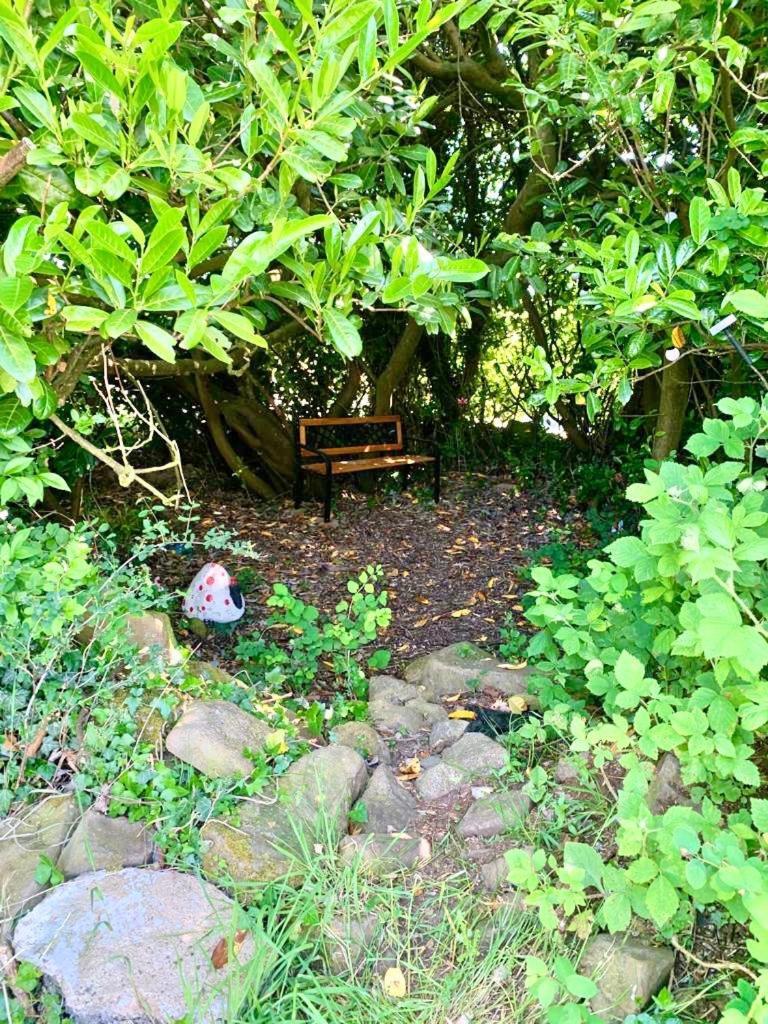 Quiet Farm Cottage Enniskillen Fermanagh Exterior foto